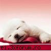Avatare - mary_kiss_4_you - Avatare
